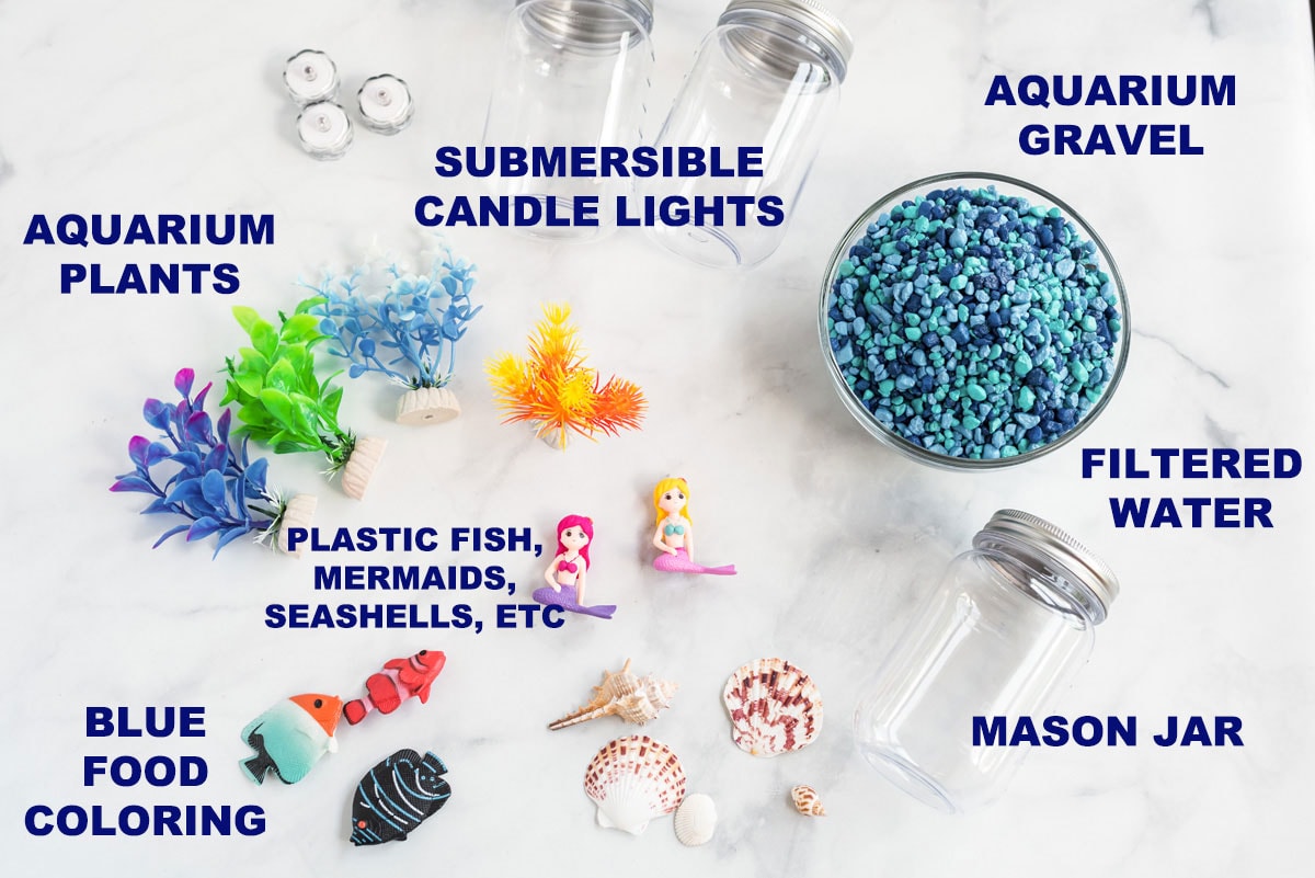labeled supplies for mason jar aquariums