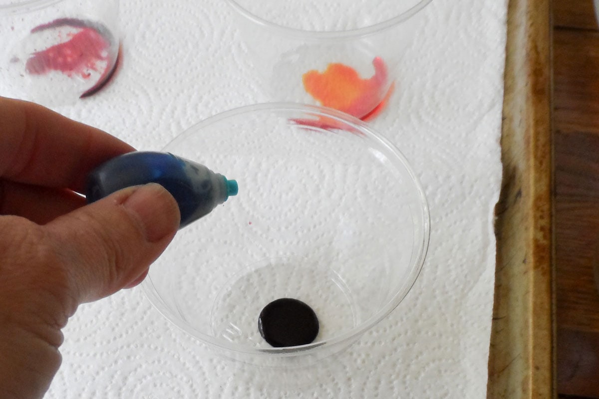 adding drops of food coloring to plastic cup