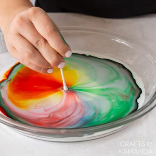 girl putting a q-tip into dish with milk and food coloring
