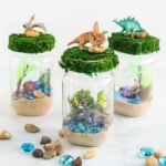 3 dinosaur terrariums