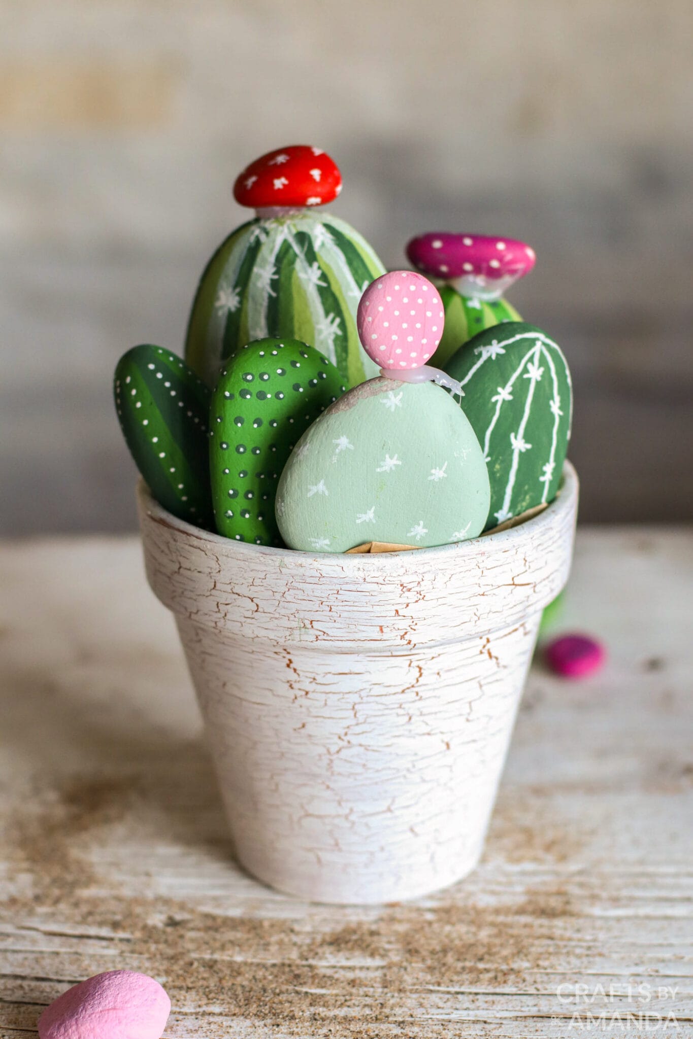 Cactus Painted Rocks - Crafts by Amanda - Clay Pot Crafts