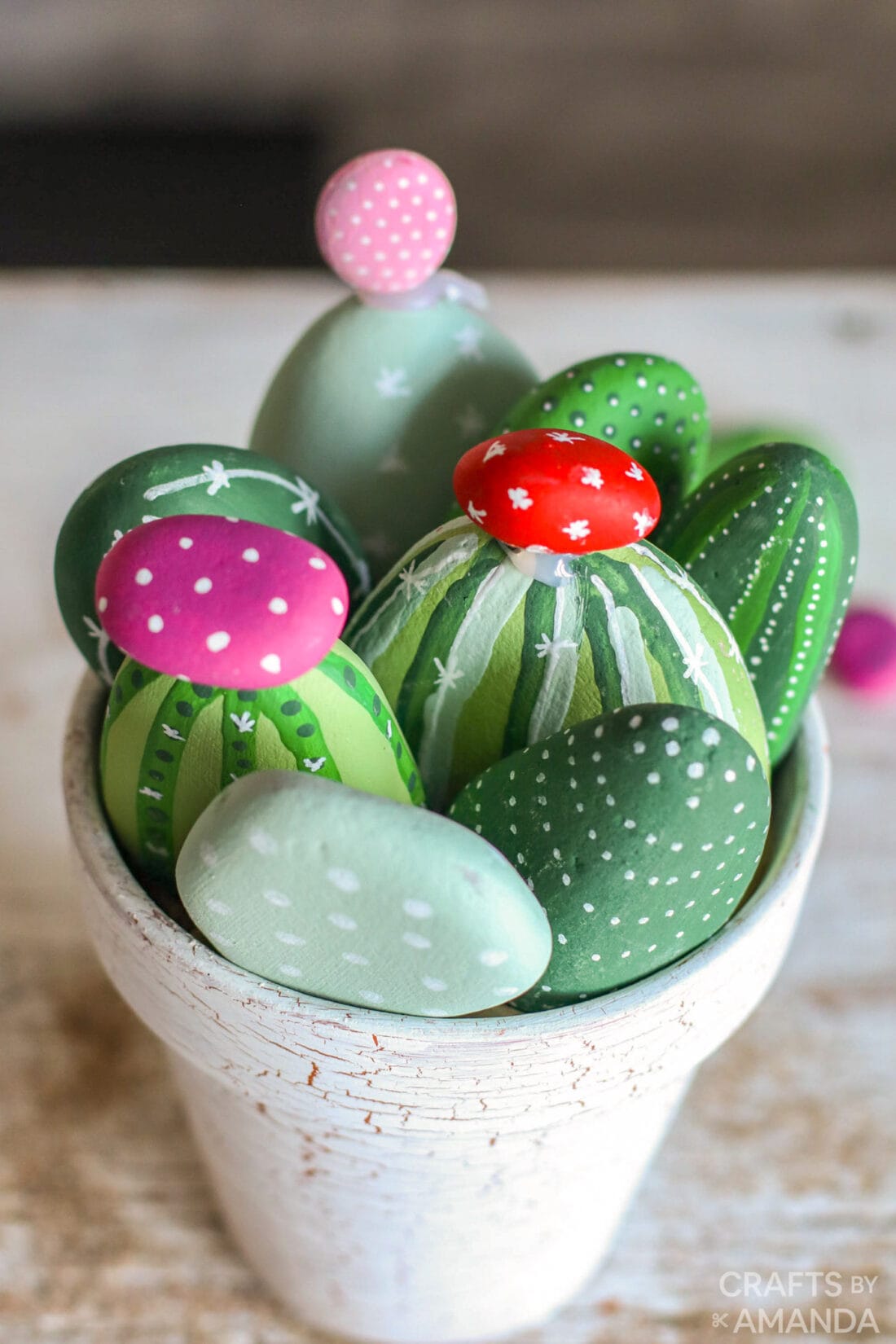 cactus painted rocks in a clay pot