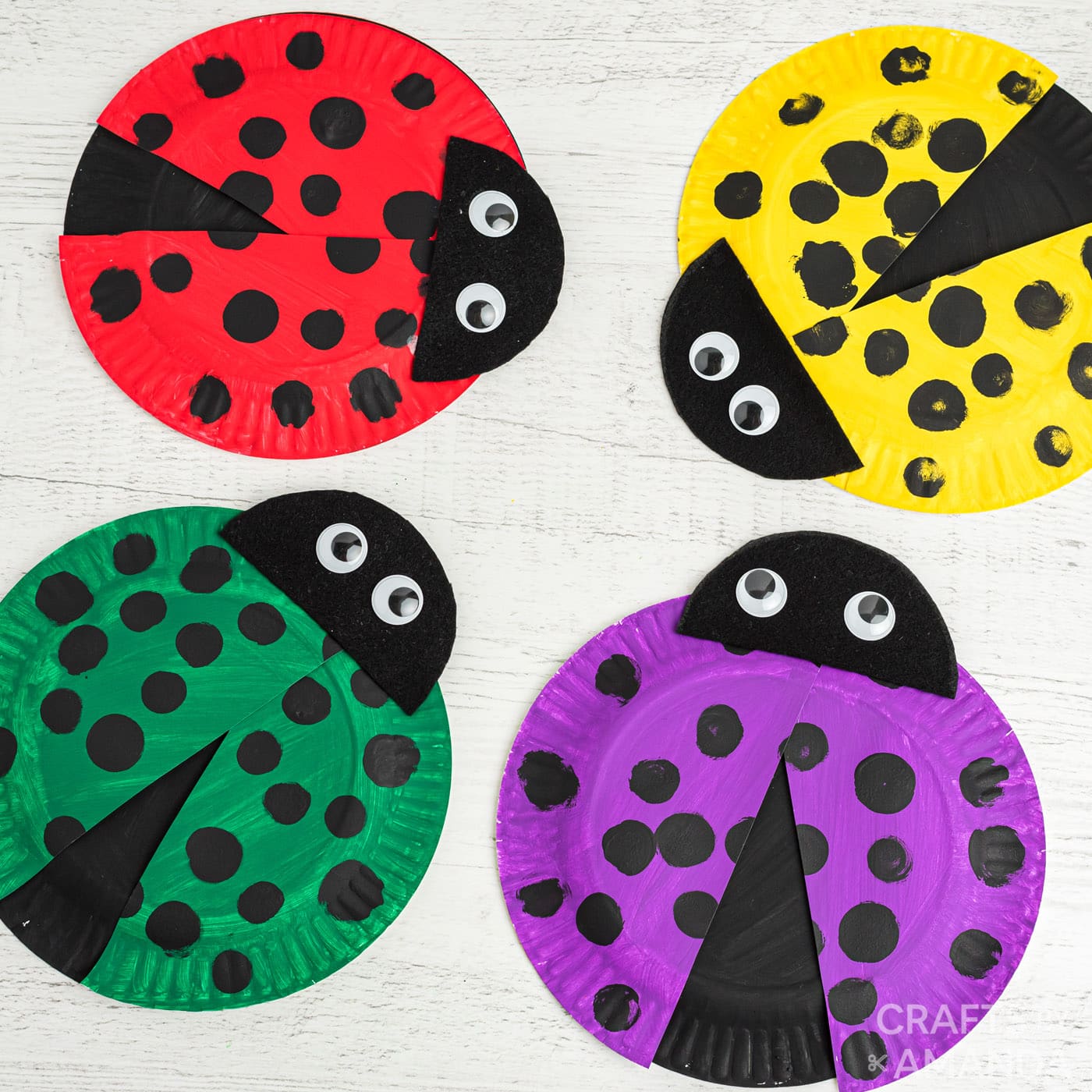 paper plate ladybugs SQ RC